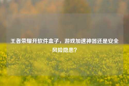 王者荣耀开软件盒子，游戏加速神器还是安全风险隐患？
