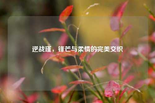 逆战瑾，锋芒与柔情的完美交织