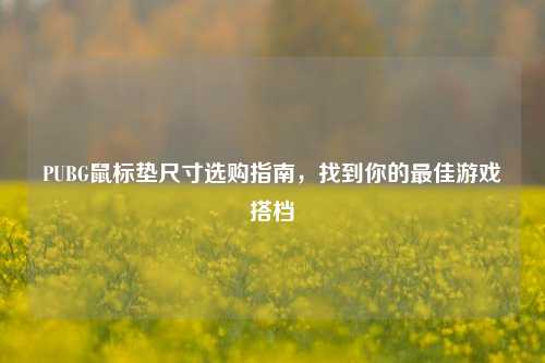 PUBG鼠标垫尺寸选购指南，找到你的最佳游戏搭档