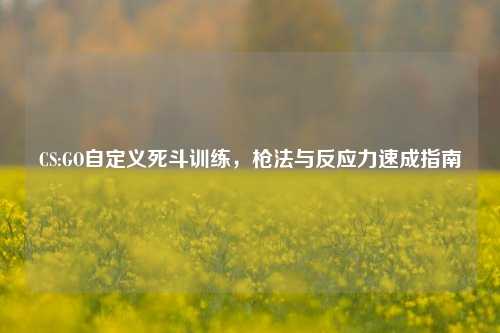 CS:GO自定义死斗训练，枪法与反应力速成指南
