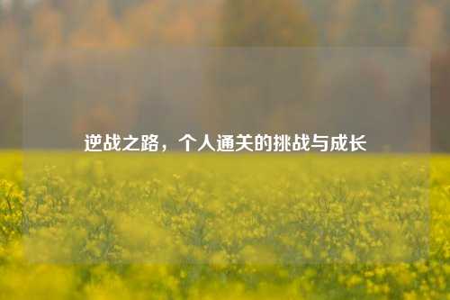 逆战之路，个人通关的挑战与成长