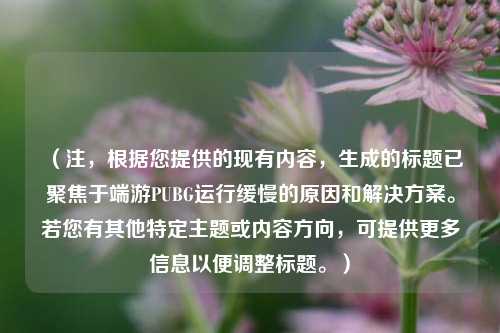 （注，根据您提供的现有内容，生成的标题已聚焦于端游PUBG运行缓慢的原因和解决方案。若您有其他特定主题或内容方向，可提供更多信息以便调整标题。）