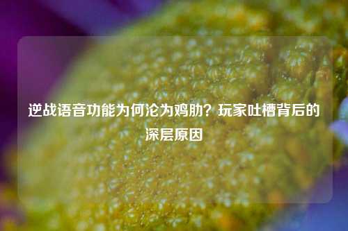 逆战语音功能为何沦为鸡肋？玩家吐槽背后的深层原因