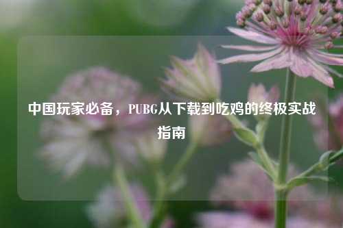 中国玩家必备，PUBG从下载到吃鸡的终极实战指南