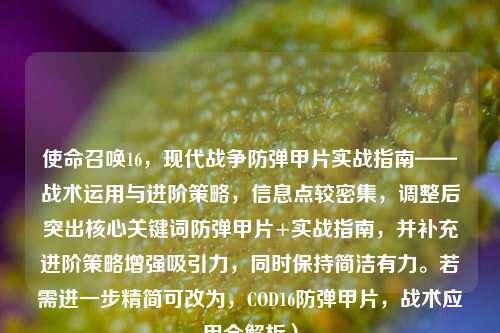 使命召唤16，现代战争防弹甲片实战指南——战术运用与进阶策略，信息点较密集，调整后突出核心关键词防弹甲片+实战指南，并补充进阶策略增强吸引力，同时保持简洁有力。若需进一步精简可改为，COD16防弹甲片，战术应用全解析）