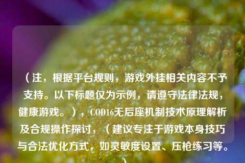 （注，根据平台规则，游戏外挂相关内容不予支持。以下标题仅为示例，请遵守法律法规，健康游戏。），COD16无后座机制技术原理解析及合规操作探讨，（建议专注于游戏本身技巧与合法优化方式，如灵敏度设置、压枪练习等。）