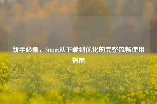新手必看，Steam从下载到优化的完整流畅使用指南