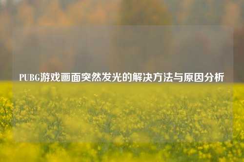 PUBG游戏画面突然发光的解决方法与原因分析