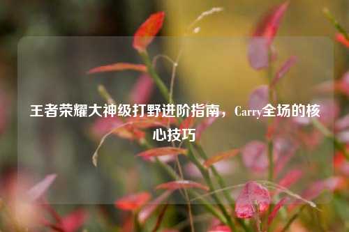 王者荣耀大神级打野进阶指南，Carry全场的核心技巧