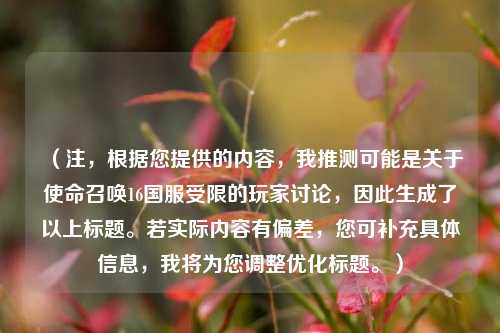 （注，根据您提供的内容，我推测可能是关于使命召唤16国服受限的玩家讨论，因此生成了以上标题。若实际内容有偏差，您可补充具体信息，我将为您调整优化标题。）